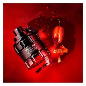 Viktor &amp; Rolf Spicebomb Eau de Toilette – 90ml / 3.04 oz for Men, 2018 Formula